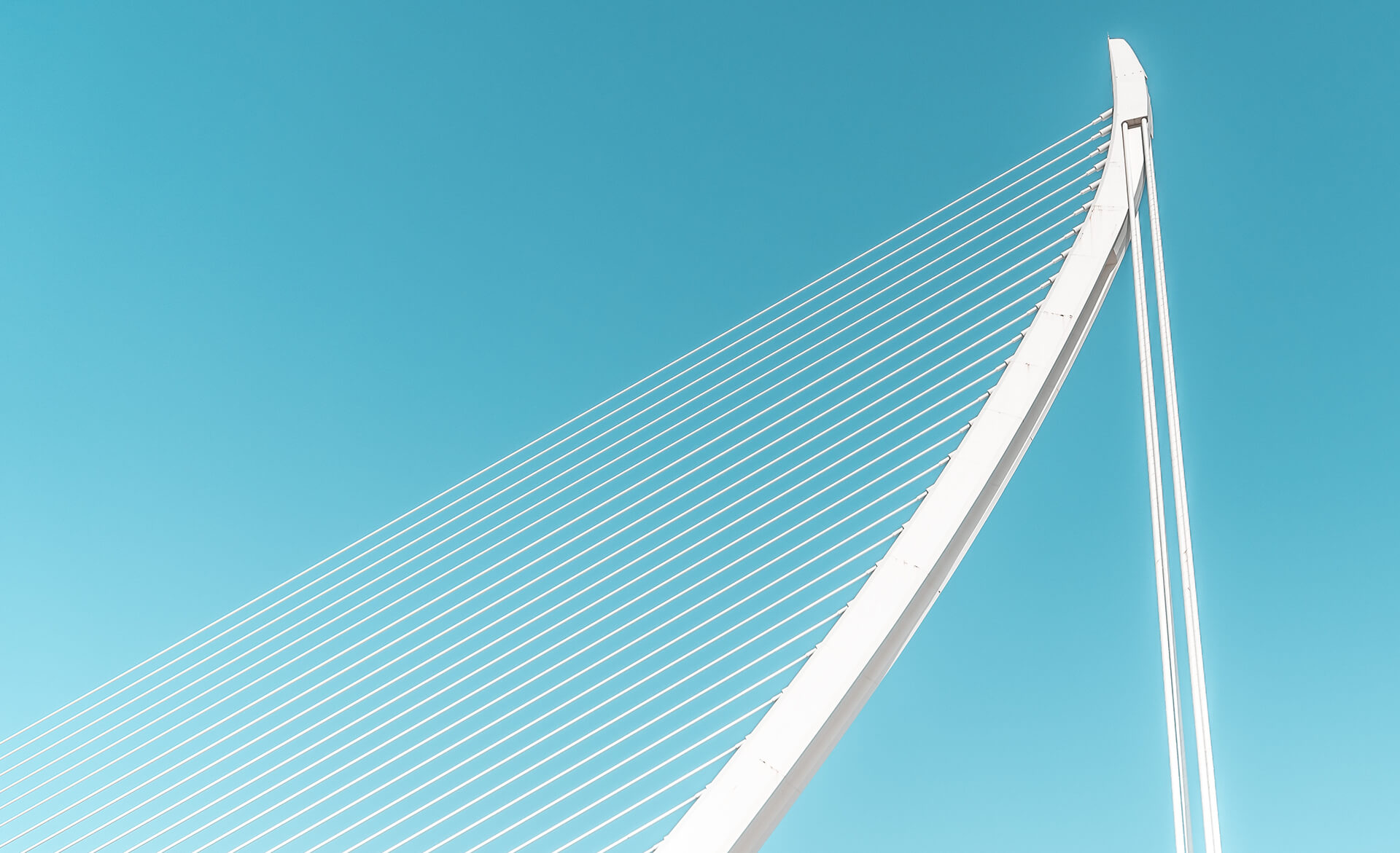 Modern bridge architecture